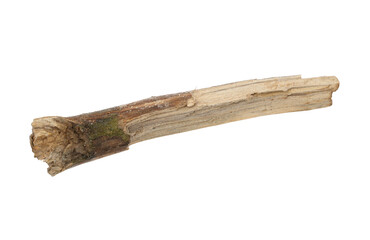 old wooden stick with cracks isolated on a white background, Tree stick isolated on transparent background.