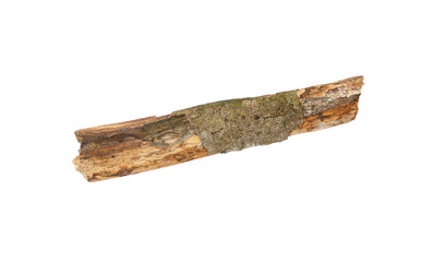 old wooden stick with cracks isolated on a white background, Tree stick isolated on transparent background.