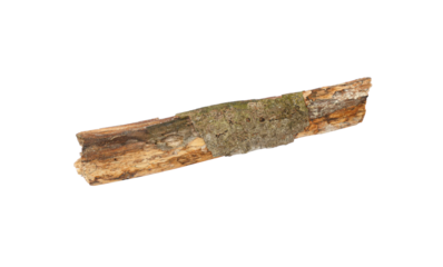 old wooden stick with cracks isolated on a white background, Tree stick isolated on transparent background.