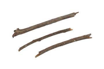 Tree branch or stick isolated on a transparent background, Rustic wood branch, Tree stick isolated on white background.