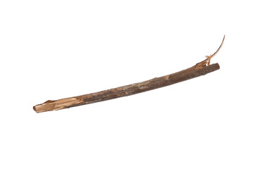 Tree branch or stick isolated on a transparent background, Rustic wood branch, Tree stick isolated on white background.