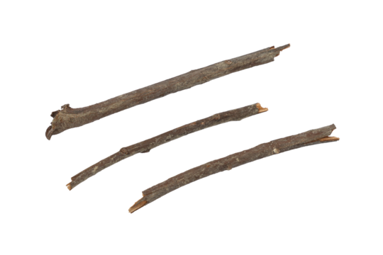 Tree branch or stick isolated on a transparent background, Rustic wood branch, Tree stick isolated on white background.