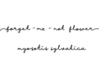 Fototapeta premium Elegant handwritten text of forget-me-not flower with botanical name