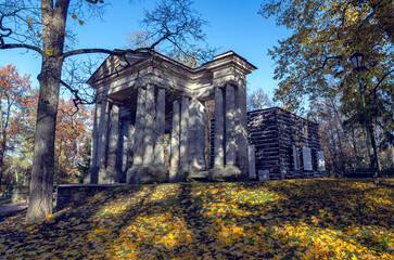 Birch house and portal "Mask"