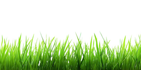 Obraz premium PNG Grass plant green lawn.