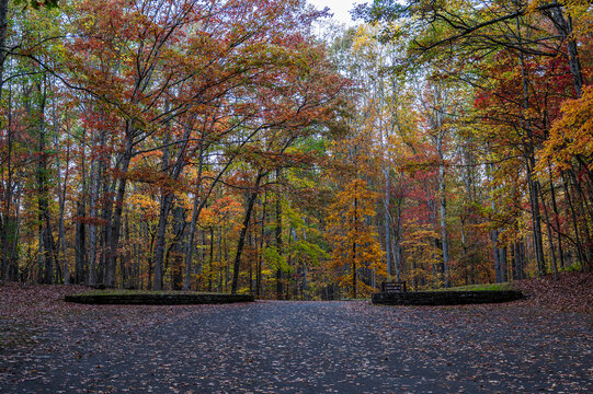 new river gorge bridge national park in peak fall, West Virginia - Powered by Adobe
