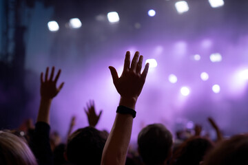 Excited crowd with hands raised at music concert or festival party