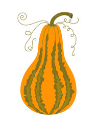 Pumpkin hand drawn vector illustration in warm orange colors, vegetable for seasonal autumn, fall holidays celebration design, healthy vegetarian diet ingredient, Thanksgiving, Halloween clipart