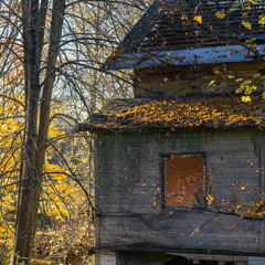 Close-up of an old abandoned wooden house with an empty window and fallen autumn leaves on the roof. Bare tree branches frame the weathered facade in warm golden light.