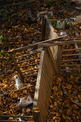 Old wooden furniture lies broken and scattered on the ground, surrounded by dry autumn leaves and sunlight filtering through trees.
