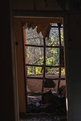 Interior of an abandoned house with a collapsed wall and shattered window, showing overgrown trees and sunlight outside through decay.