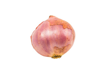Shallot isolated on Transparent Background , PNG.