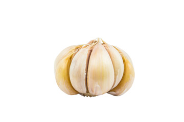 Whole Garlic Bulb isolated on Transparent Background , PNG.