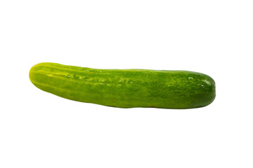 Fresh Cucumber isolated on Transparent Background , PNG