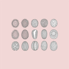 Organ Systems in the Human Body: Types, Parts, and Functions