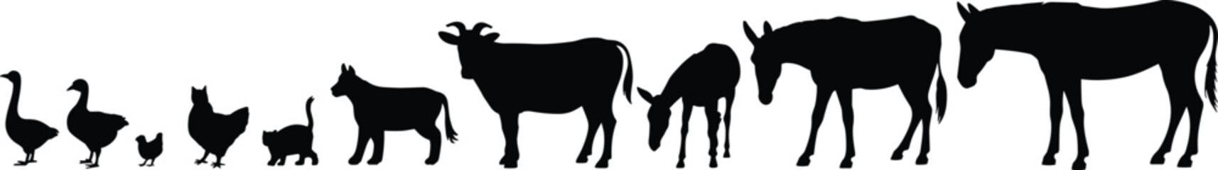 Farm animal silhouettes, goose, hen, chick, cat, goat, cow, donkey, horse, mule, livestock lineup, rural agriculture, countryside illustration