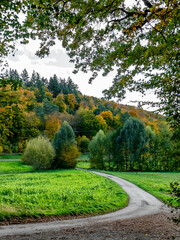 Herbstlicher Mischwald
