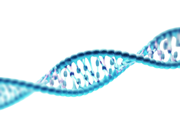 PNG DNA strand research science biology.