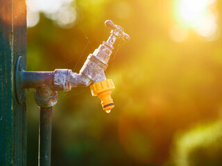 A rusty old faucet with a yellow plastic hose connector is dripping water, dark green soft background out of focus. Soft and dreamy mood and feel.