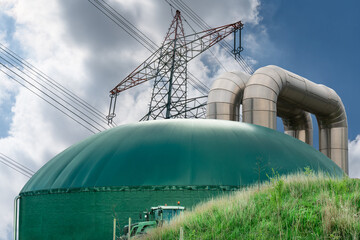 Local heating network with biogas and electricity supply