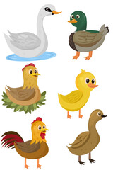 Illustration clipart set of various types of two-legged birds, cartoon animals with a flat design style.