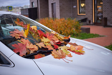 Children playing in the park during autumn