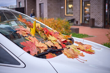 Bright autumn leaves on a car