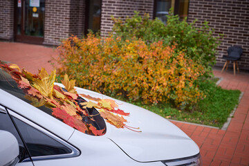 Children play in the park during autumn