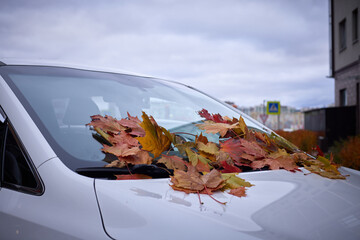 Kids play in the park during autumn leaves