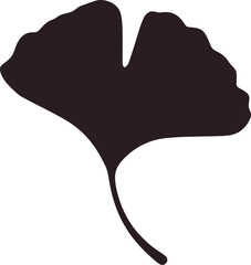 Dark ginkgo leaf silhouette isolated botanical nature
