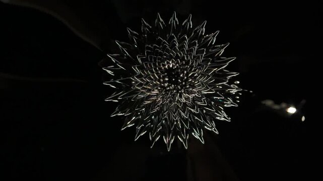 Ferrofluid experiment forming a rotating flower-like shape in dark liquid