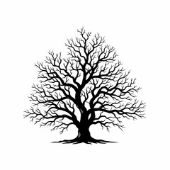 Obraz premium tree silhouette vector