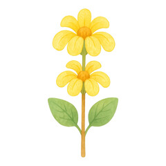PNG Bright yellow watercolor flower illustration.