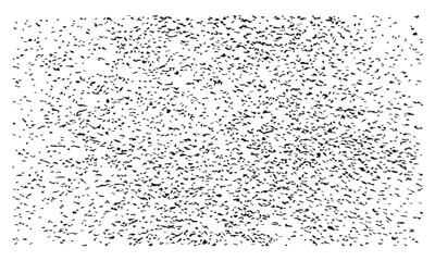 Black Grunge Texture ink and dots effect white background template vector design.