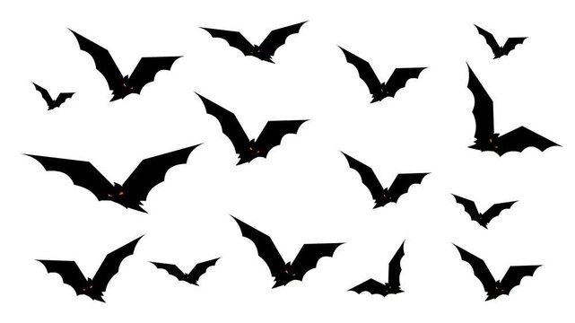 Animated video of several bats on a white background, art, cartoon.