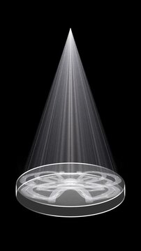 stage with spotlight. transparent floral moving glowing  white neon light effect with black background. vertical design in 9:16 ratio. smartphone and social media ready. technology animated video 4k.	