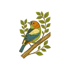 Colorful Tropical Bird on Leafy Branch – Stylized Nature Illustration