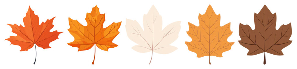 PNG Colorful autumn maple leaves illustration, element set on transparent background