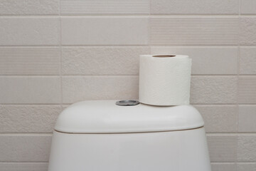 Horizontal photo. White toilet paper on toilet flush tank. Ceramic tiles on wall in hotel bath room. Concept of problems with intestines, fecal incontinence, diarrhea, clean, public WC, sever, care