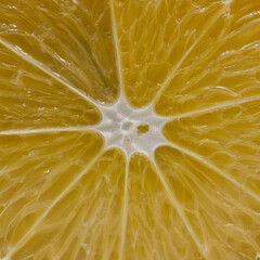 Close-up view of a fresh lemon slice's texture