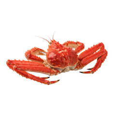 Delicious red king crab ready for a gourmet seafood feast, culinary delight for seafood lovers, fresh catch from the ocean, perfect for elegant dining and celebrations