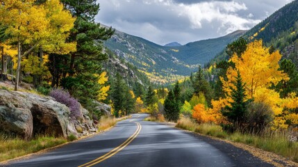 beautiful landscape of a road surrounded by yellow and green trees