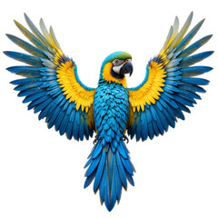 Stunning vibrant macaw spreading wings in flight, showcasing vivid blue and yellow plumage, perfect for wildlife enthusiasts and exotic bird lovers
