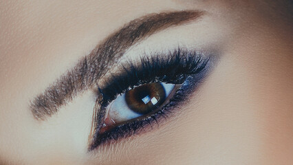 A woman's eye with eyeliner and mascara. The eyeliner is black, the mascara is brown, and the eyes are brown, highlighted by the studio light.