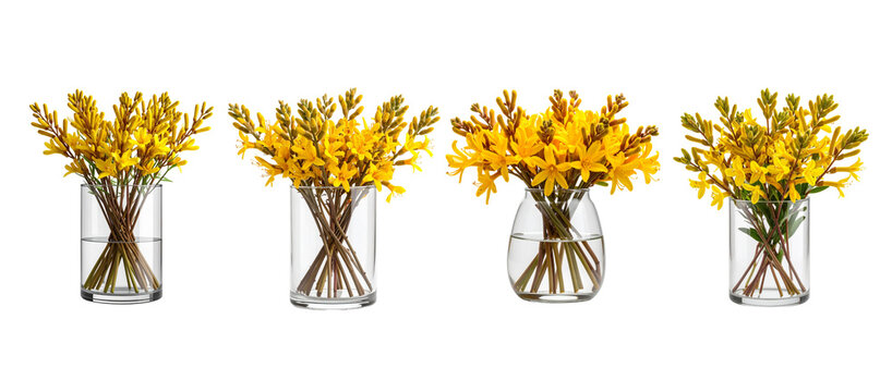 Four glass vases, each holding a different arrangement of bright yellow flowers with brown stems isolated on a transparent background.