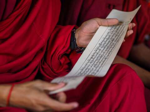 Close-up of a Monk or Nun in Red Robes Holding and Reading a Sacred Text or Scroll Written in Tibetan Script
