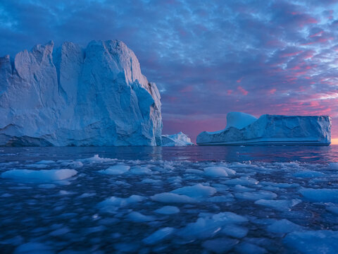 Massive icebergs floating in a sea of ice chunks during a vibrant pink and purple sunset in the Ilulissat Icefjord, Greenland.