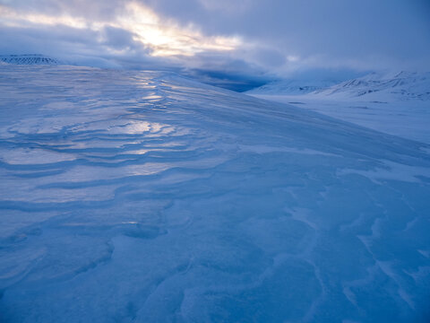 Arctic ice sheet and snow desert at sunset, copy space