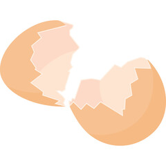 Broken Egg Shell Isolated on White Background with Jagged Edges and Light Brown Exterior
