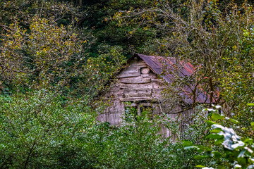 a wooden mountain hut on the plateau